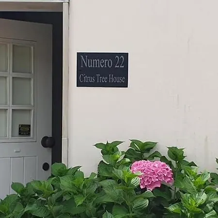 Citrus Tree House, Private Pool And Garden. Angeja