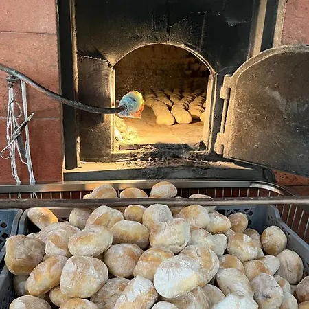 Citrus Tree House, Private Pool And Garden. * Angeja