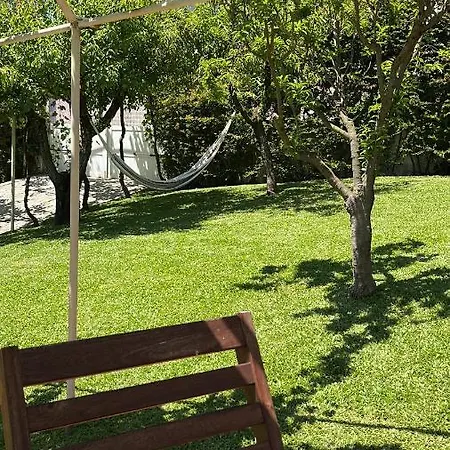 Citrus Tree House, Private Pool And Garden. بيت للعطل Angeja