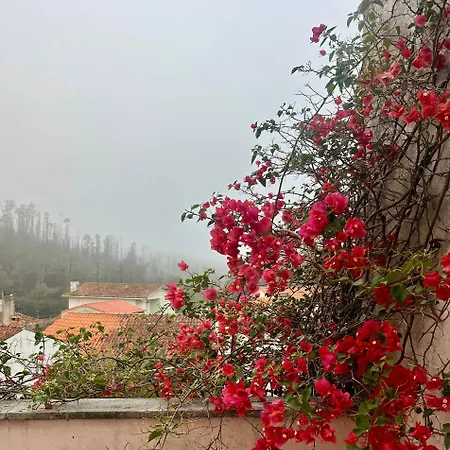 Σπίτι διακοπών Citrus Tree House, Private Pool And Garden. Angeja