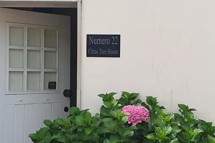 Citrus Tree House, Private Pool And Garden. Angeja