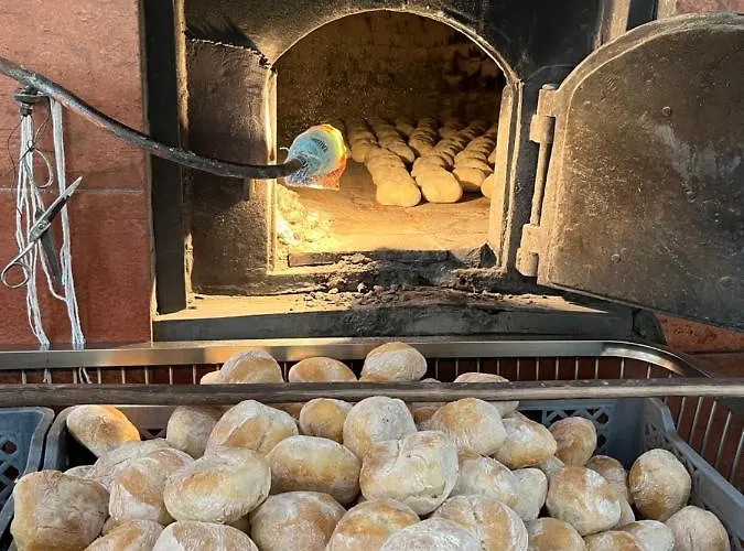 Citrus Tree House, Private Pool And Garden. * Angeja