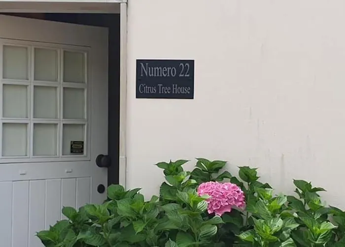 Feriehus Citrus Tree House, Private Pool And Garden. *